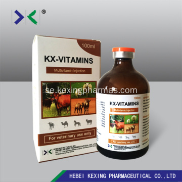 Vitamin B-komplexa injektionsdjur